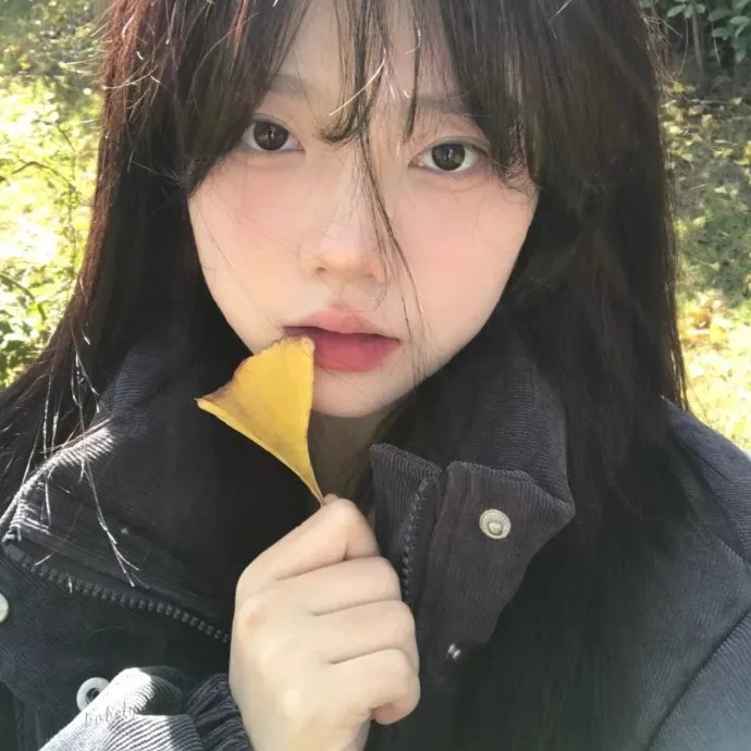 噗通噗通的夏天